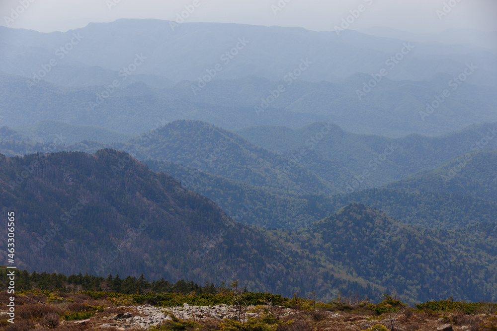 Naklejka premium The nature of the Far East. View from a high mountain to a summer green valley.