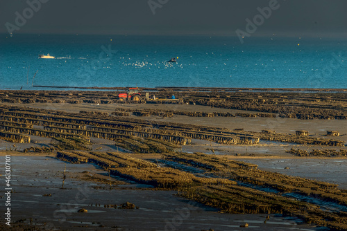 Paysage de mer en Bretagne photo