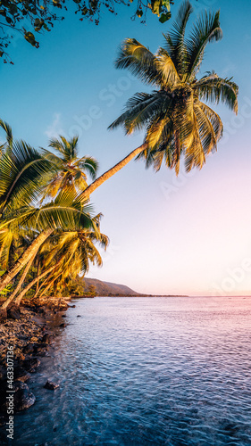 Tropical beach during sunset. Paradise near the ocean. 