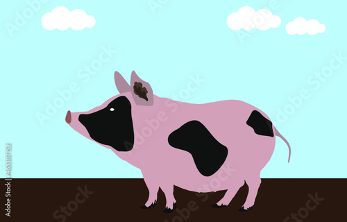 Fat pig in the mud