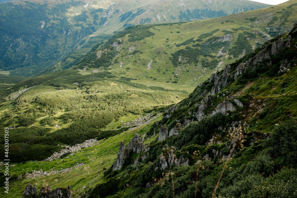 Naklejka premium Fascinating view of the top of Mount Spitz of the Carpathian Mountains, Ukraine