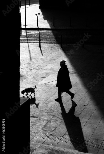 Shadow silhouette of a mature woman walking a small dog on a leash on city street in black and white