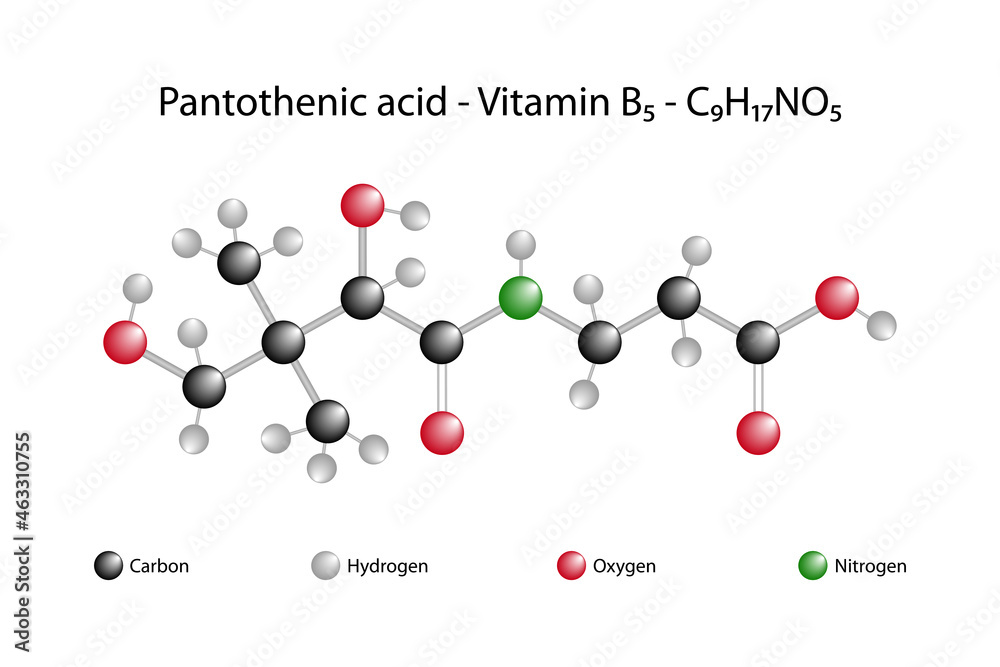 Molecular formula of pantothenic acid. Pantothenic acid or vitamin B5