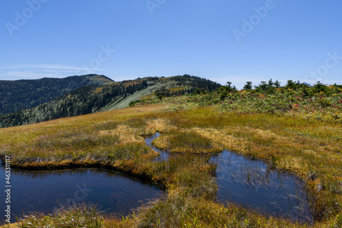 中門岳付近の湿原と会津駒ヶ岳