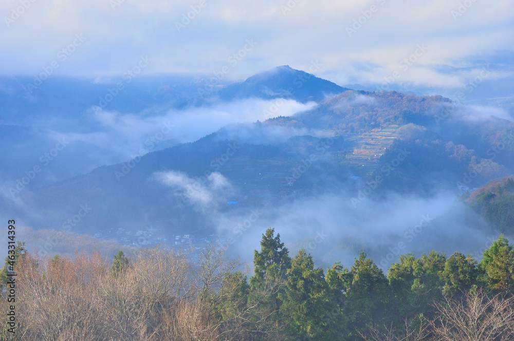 丹沢の大野山からの展望　雲湧く山稜