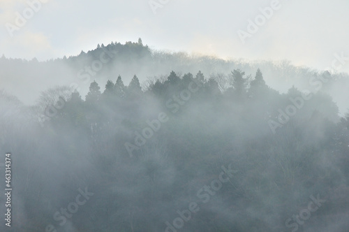 丹沢の大野山 山霧の風景