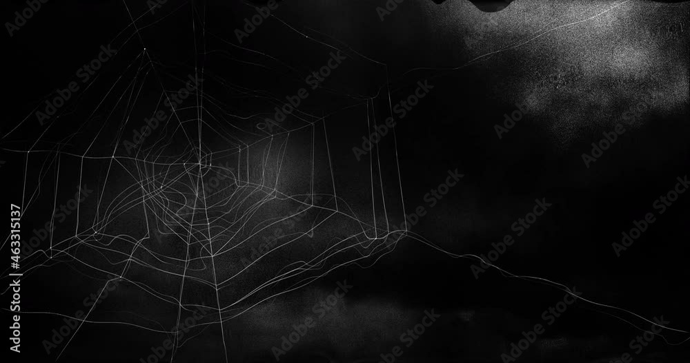 Animation of spiders web over stormy, dark halloween sky