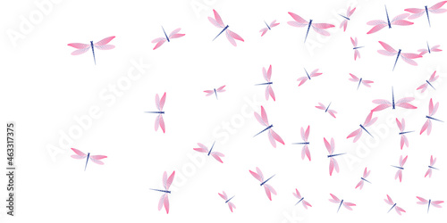 Fairy rosy pink dragonfly isolated vector illustration. Summer cute insects. Fancy dragonfly isolated baby wallpaper. Tender wings damselflies patten. Tropical creatures