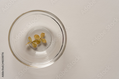 dried hydrangea flower blossoms sitting at the bottom of a clear glass dish
