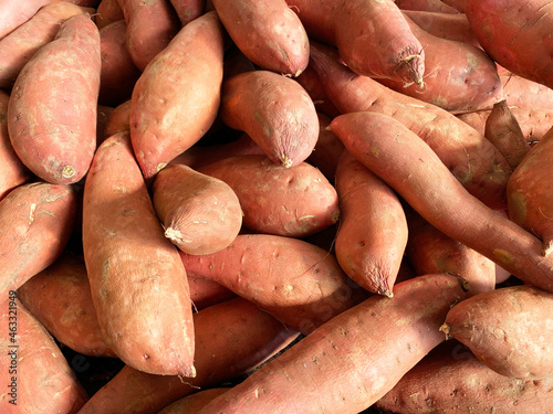 fresh organic yams sweet potatoes garden vegetables farmers marketing