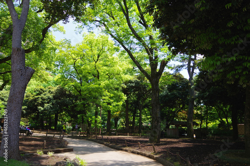 晴天の横浜公園と都市の風景