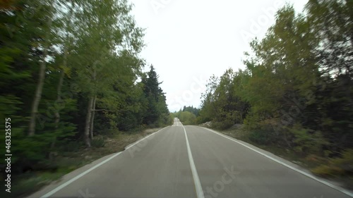 View taken from the front of the vehicle moving on the road surrounded by green pine forests. 