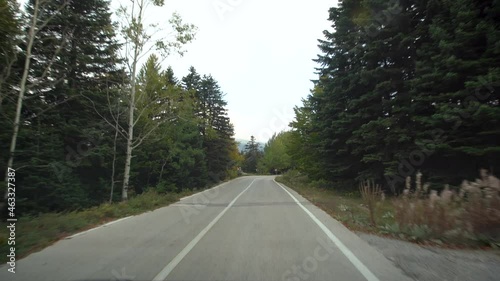 View taken from the front of the vehicle moving on the road surrounded by green pine forests. 