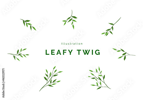 Illustration Vector Leafy Green Twig 