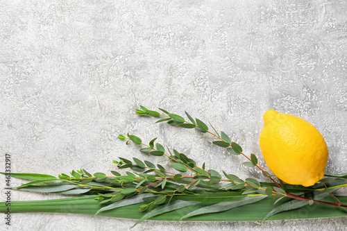 Sukkot festival symbols on light background photo