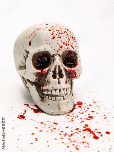 Bloodstained human skull on...