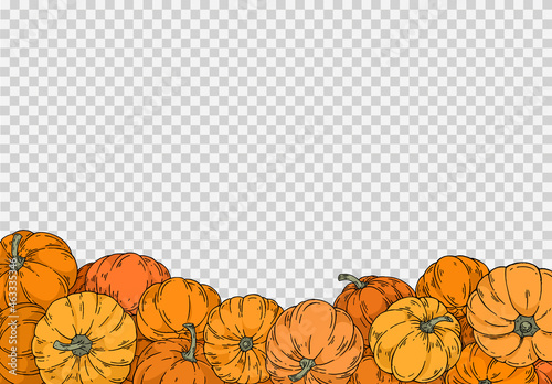 Group of pumpkins in different colors with hand draw with brush style isolated on png or transparent texture,Halloween party background ,element template for poster,online,vector illustration