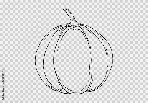 Outline pumpkin hand draw with brush style isolated on png or transparent texture,Halloween party background ,element template for poster,brochures, online advertising,vector illustration