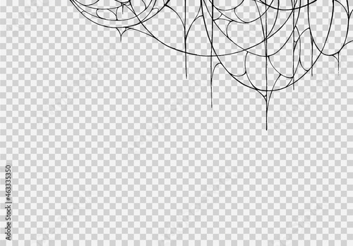 Spider hanging from spiderwebs isolated png or transparent texture, Halloween party background,blank space for text,element template for poster,brochures, online advertising,vector illustration