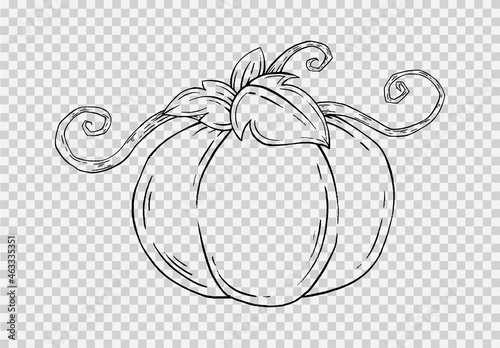 Outline pumpkin hand draw with brush style isolated on png or transparent texture,Halloween party background ,element template for poster,brochures, online advertising,vector illustration