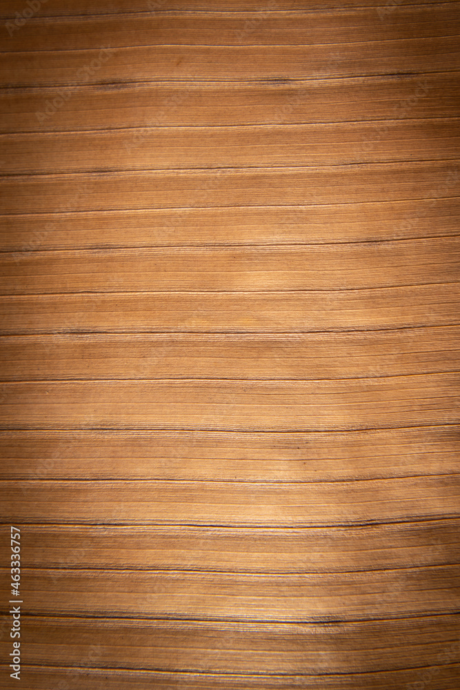 Fototapeta premium Natural banana leaf texture background