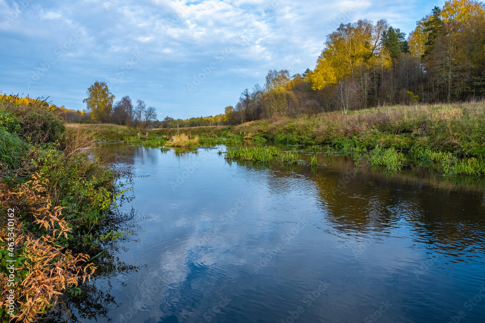 Landscape with a small quiet river among the autumn forest.