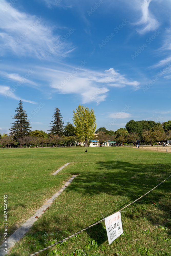 Fototapeta premium 姫路城周辺の景色