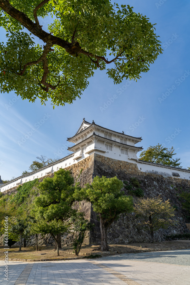 Obraz premium 姫路城周辺の景色