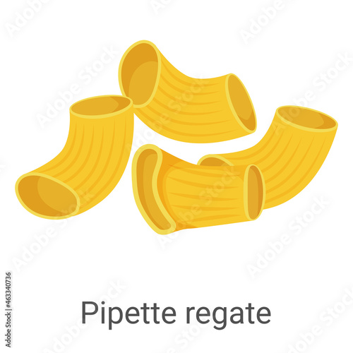 Pipette regate.Pasta, pasta made of durum flour isolated on a white background.Vector image of dough products.For labels, menus and posters.