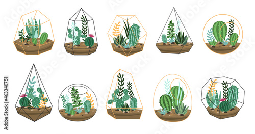 Set of cactuses and succulents in doodle terrarium. Florarium cartoon vector illustration. Tropical house plant, decor, botanical interior, gardening concept