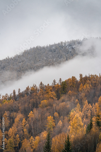 Autumn landscape of the mountains and forest in Kanas, Xinjiang province, China.