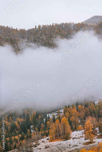 Autumn landscape of the mountains and forest in Kanas, Xinjiang province, China.