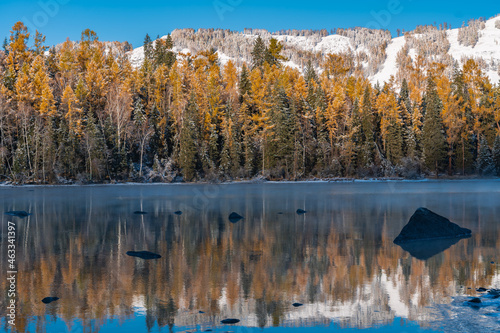 Autumn landscape of Kanas river and forest, in Xinjiang province, China. photo