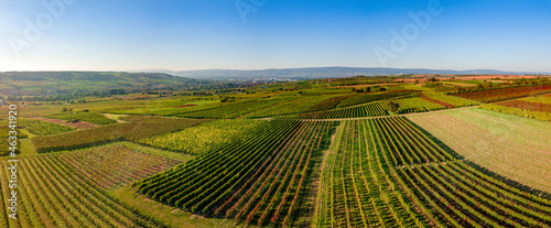 Luftaufnahme Drohnenpanorama Weinberge der Winzer Rheinhessens bei Großwinternheim an einem sonnigen Tag im Herbst, Kaiserpfalz, nahe Ingelheim und Bingen, Rheinland Pfalz