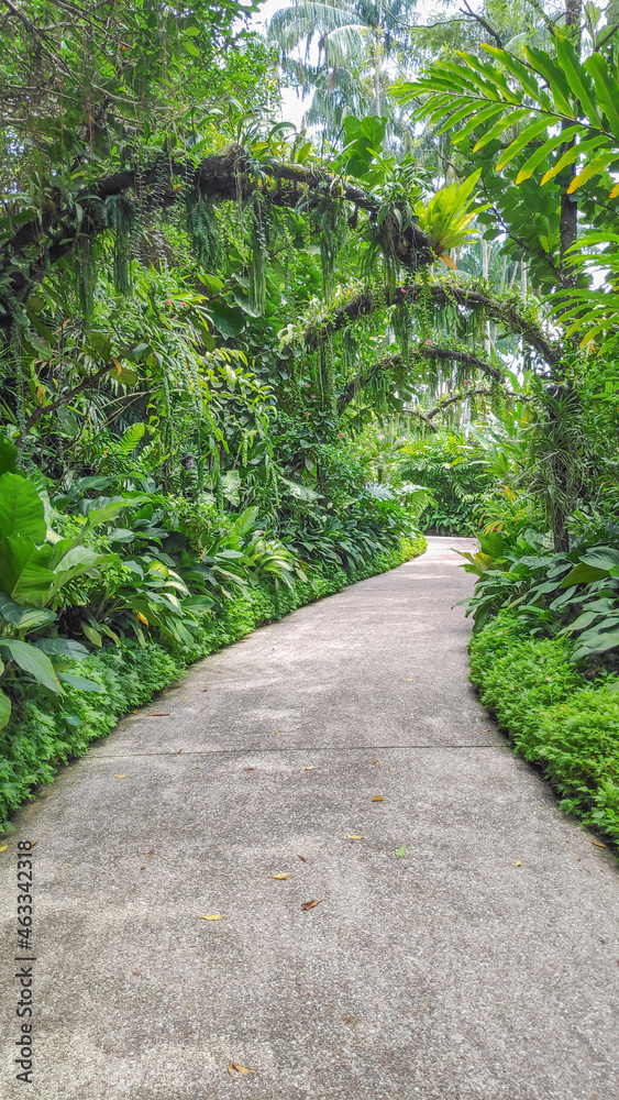 View of the beauty of National Orchid Garden inside Singapore Botanic Gardens. View of the beauty of National Orchid Garden inside Singapore Botanic Gardens.