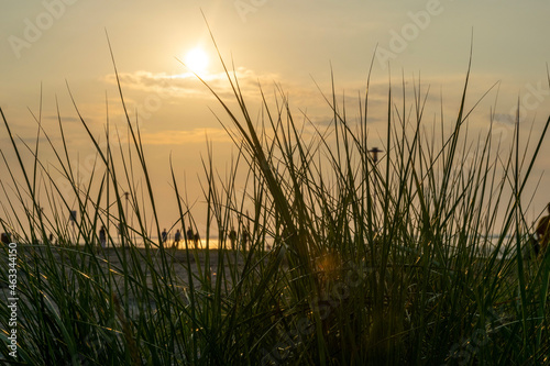 grass and water