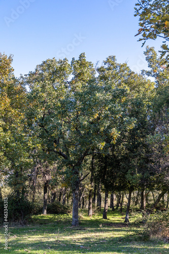 Lozoya Valley, in the Sierra de Guadarrama of Madrid, with autumn colors