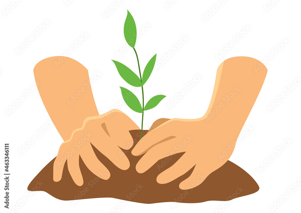 Hands planting a tree - obrazy, fototapety, plakaty 