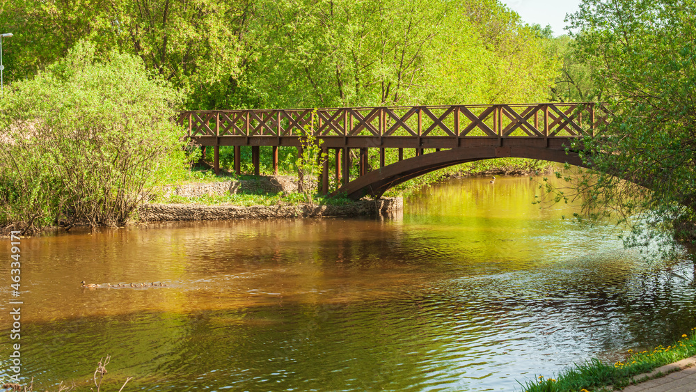Park in the summer. Bridge over the river with ducks. Park in the summer. Bridge over the river with ducks.
