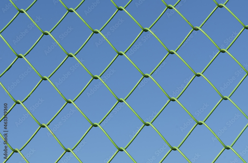 Against the background of the blue sky, the cellular metal mesh is green. Against the background of the blue sky, the cellular metal mesh is green.