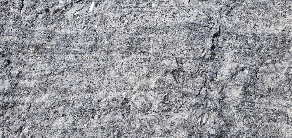 Fototapeta premium stone texture close-up