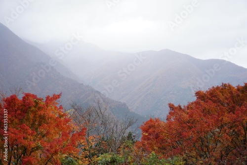 秋の三峯神社参道