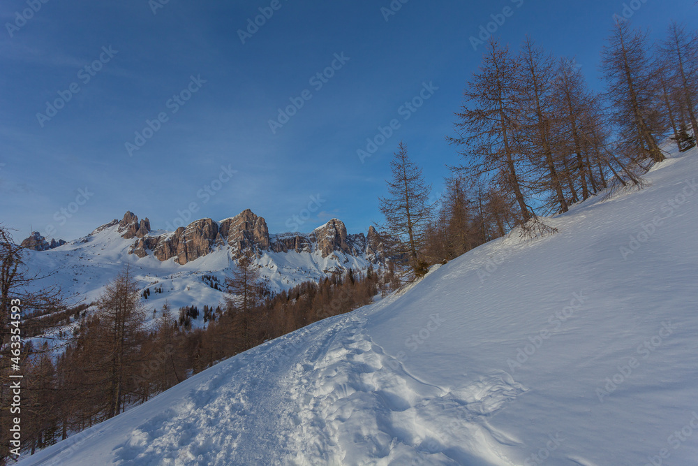 Breathtaking winter panorama of Rocchetta dolomite ridge at sunset from a beaten path in the snow, surrounded by larch trees . San Vito di Cadore, Dolomites, Italy