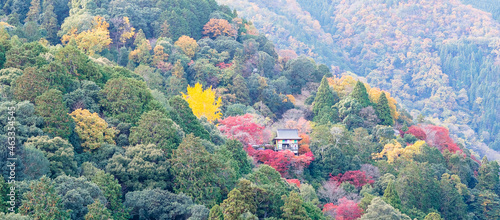 daihikaku senkoji temple with colorful leaves mountains in Arashiyama, landscape landmark and popular for tourists attractions in Kyoto, Japan photo