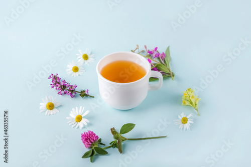 Cup of herbal tea with flowers chamomile on blue background. Organic floral, green asian tea. Herbal medicine at seasonal diseases and treatment of colds, flu, heat. copy space for text.