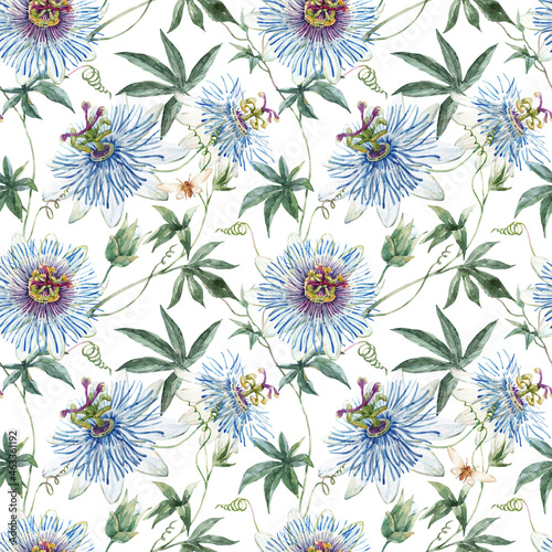 Beautiful floral seamless pattern with hand drawn watercolor blue passionflowers. Stock illustration.