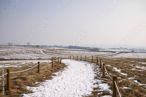 snowy landscape in winter © YOUNGMI