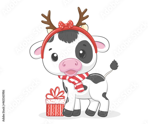 A cute calf with a gift for the New Year and for Christmas. Vector illustration of a cartoon.