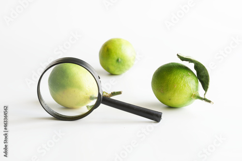 Magnifying glass and three fresh limes. Examination of the quality of citrus fruits. Checking and analyzing the ripeness of limes. Pre-sale selection of products photo