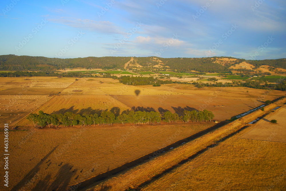 Fototapeta premium Balloon Tours in Sydney